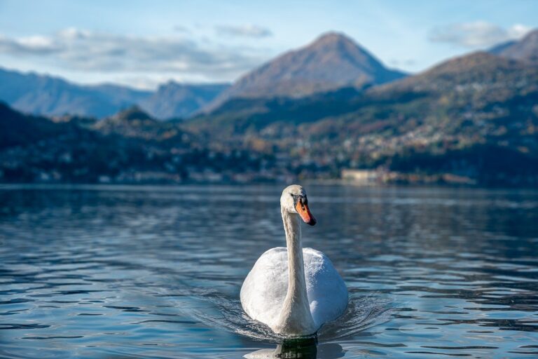 CITTA’ E RIFLESSI: ESPLORANDO COMO E IL SUO LAGO