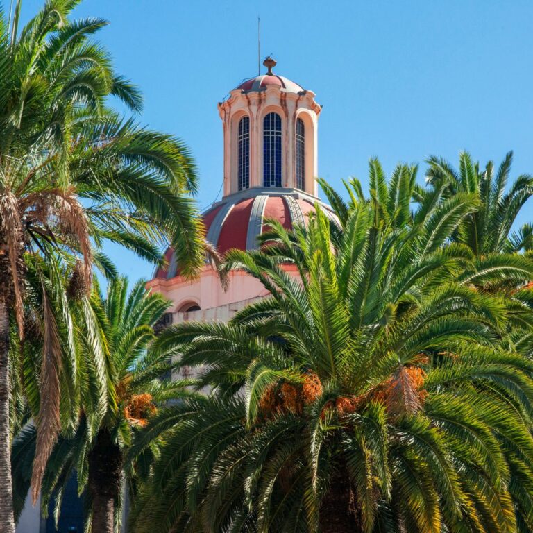 TENERIFE: L’ISOLA DELL’ETERNA PRIMAVERA