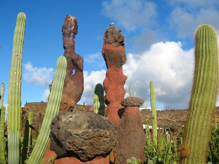 CANARIE: MARI, PAESAGGI E RELAX