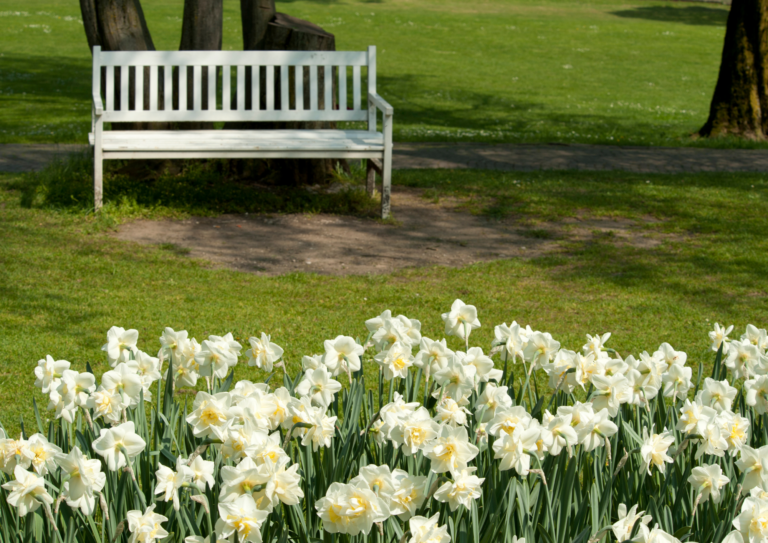 PARCO SIGURTA’ E BORGHETTO: TRA TULIPANI E MULINI